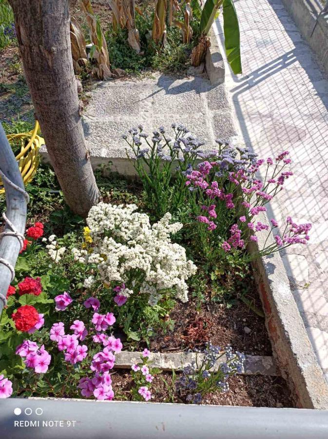 Rania'S House Apartman Méthana Kültér fotó